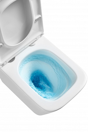 Подвесной унитаз безободковый Terminus Ватикан Монолит 490х340 белый Петропавловск-Камчатский - фото 8