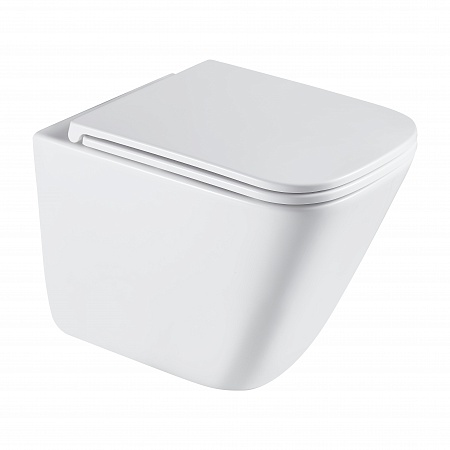 Подвесной унитаз безободковый Terminus Ватикан Монолит 490х340 белый Петропавловск-Камчатский - фото 2