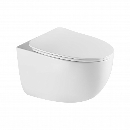 Подвесной унитаз безободковый Terminus Енисей Монолит 560х390 белый Петропавловск-Камчатский - фото 2