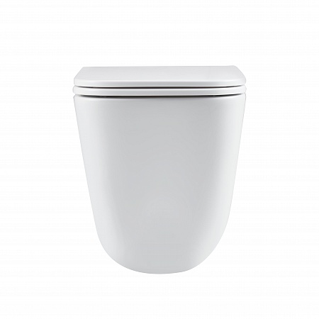 Подвесной унитаз безободковый Terminus Ватикан Монолит 490х340 белый Петропавловск-Камчатский - фото 6