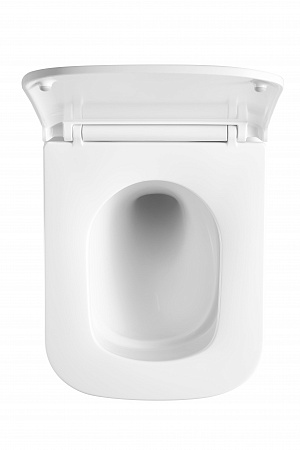 Подвесной унитаз безободковый Terminus Ватикан Монолит 490х340 белый Петропавловск-Камчатский - фото 3